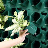 Mur végétal hydroponique 