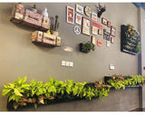 mur végétal restaurant