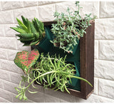 mur végétal hydroponique