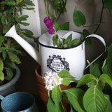 regadera en fer blanc