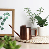 Petit regadera d'intérieur