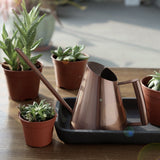 regadera Design metal cuivre