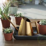 regadera Design doré