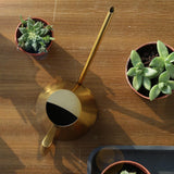 regadera intérieur doré