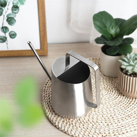 regadera d'intérieur metal inox