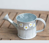 regadera acier galvanisé