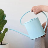 riego plante d'intérieur