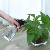 spray para plantas 500ml