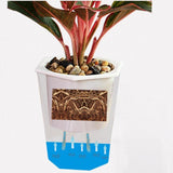 pot riego plante d'intérieur