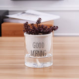 pot riego plante d'intérieur