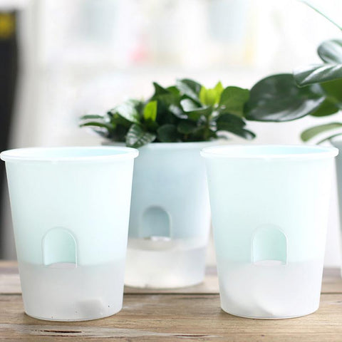 pot d'riego automatique