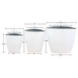 riego continue plante d'intérieur