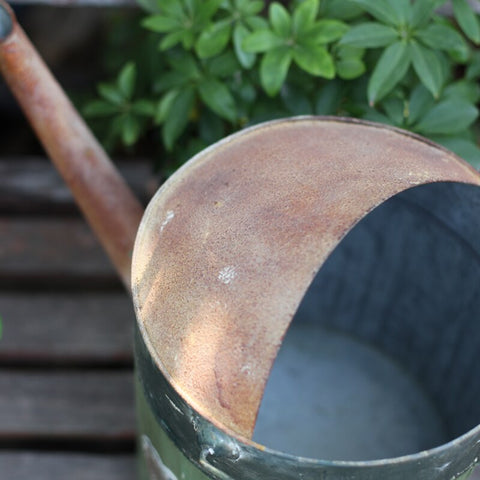 regadera zinc ancien rouille