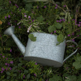 regadera décoratif de jardín