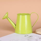 petit regadera décoratif de bureau