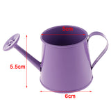 Petit regadera en métal