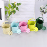 Mini regadera Métal <br> (lot de 2)