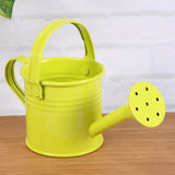 Mini regadera Métal <br> (lot de 2)