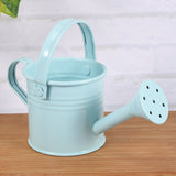 petit regadera métalique