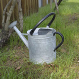 regadera métallique