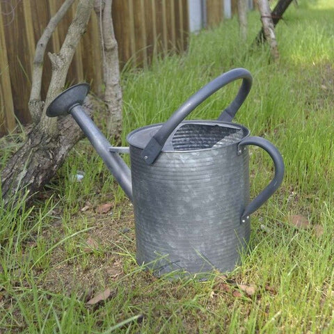 regadera métallique zinc