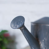 regadera vintage metal