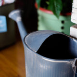 regadera ancien en zinc