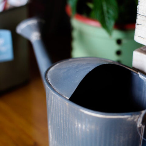 regadera ancien en zinc