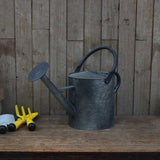 regadera lyonnais zinc 