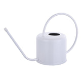 regadera metal blanc