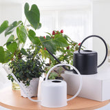 regadera metal blanc