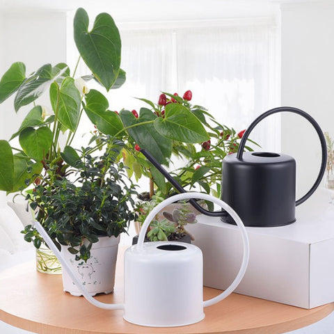 regadera metal blanc