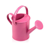 regadera métal rose