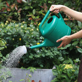 regadera de plástico verde