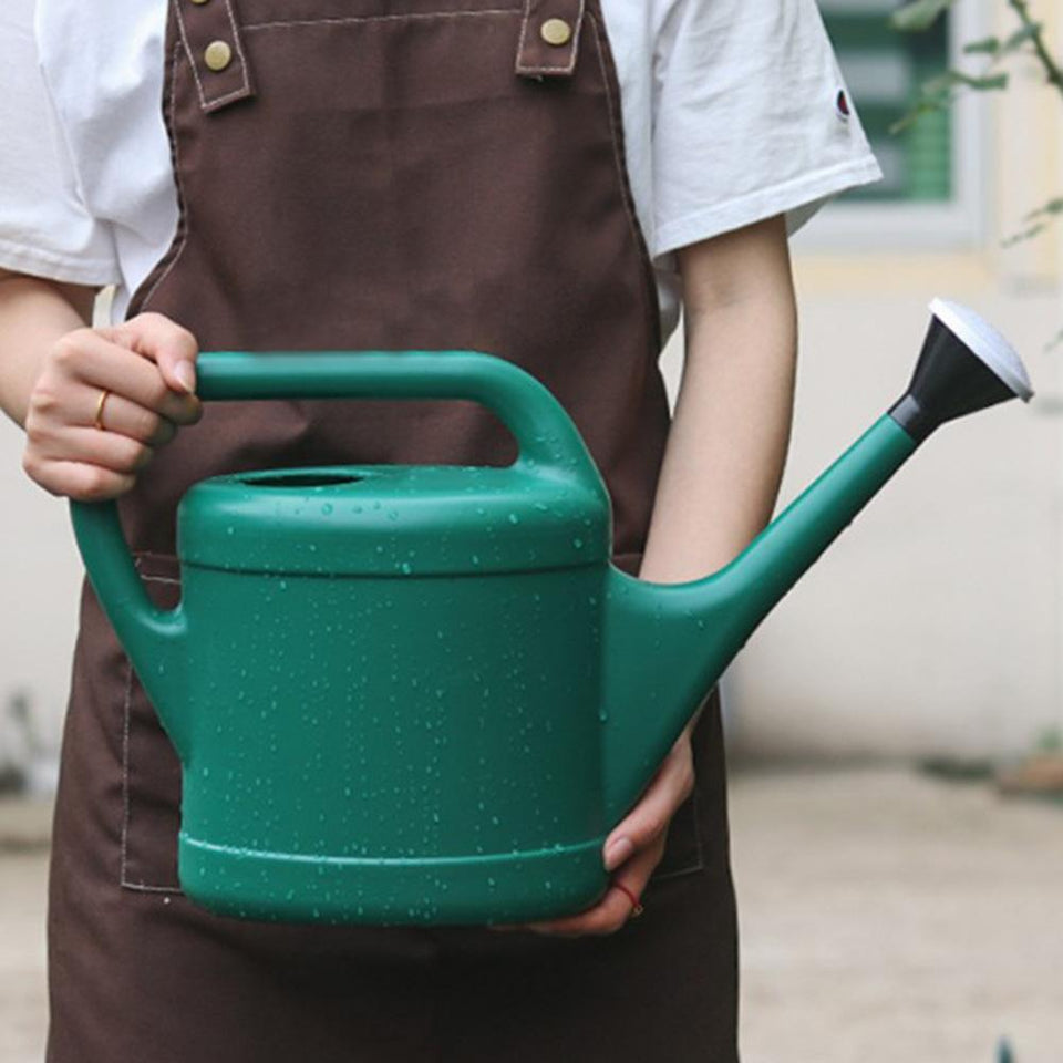 regadera Parisien Classique