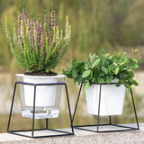 pot de fleur riego automatique