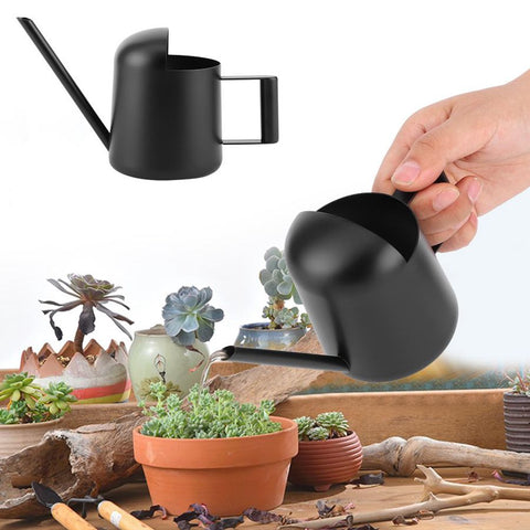 petit regadera en métal