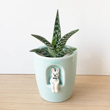 pot de fleur lapin