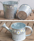 regadera en acier galvanisé