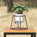 pot de fleur système riego automatique