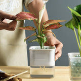 riego hydroponique en pot