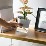 pot de fleur riego déco