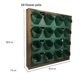 plantas Murales hydroponie 