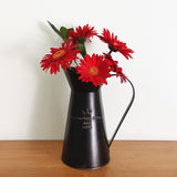 Broc d'eau en Métal