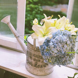 regadera ancien déco