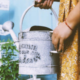 regadera ancien en zinc