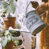 regadera ancien en zinc