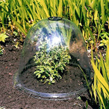 Cloche de jardín
