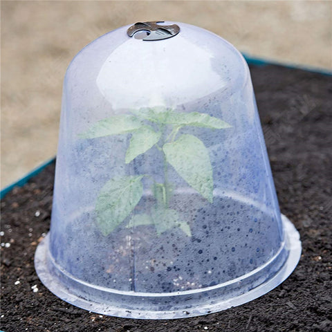 cloche de jardinage