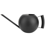 regadera d'intérieur noir